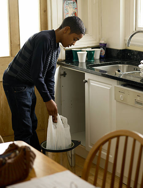 Best Professional Junk Removal  in Weweantic, MA